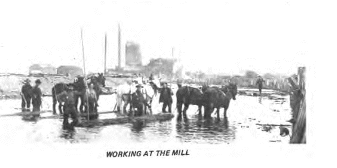 Historical photo of workers and horses at a mill.